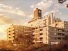 Apartamento  venda com 3 dormitrios em Cacup, Florianpolis