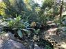 Casa  venda no Bosque das Manses, So Jos  condomnio fechado